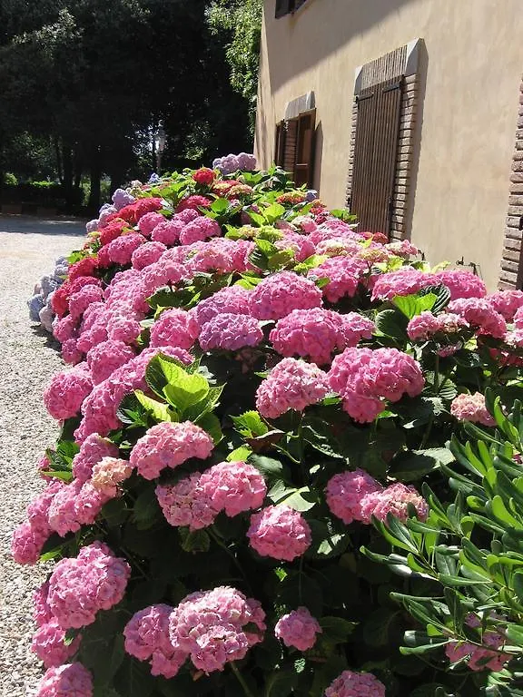 Lejlighedshotel Montecorneo Country House Ponte San Giovanni